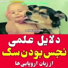 از زبان اروپایی ها... 