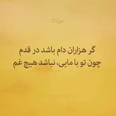 #مولانا