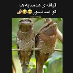 به روایت تصویر😂😂😂