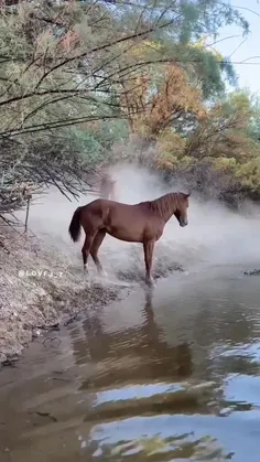 مرا چشمی‌ست خون‌افشان 