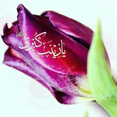 ❣ آیہ‌اے از طرف جنٺ الاعلے آمد