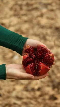 تنها بنایی که اگر بلرزد محکم‌تر می‌شود، دل است، دلِ آدمی‌