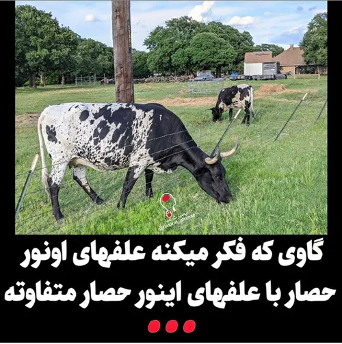 حکایت بعضی ها ...