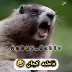 خواهرم کجایی😄