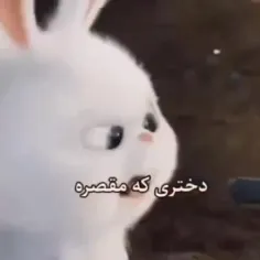 حق 🤕