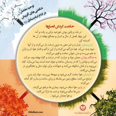 #توحید_مفضل #امام_جعفر_صادق_علیه_السلام