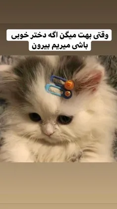 کیا اینجورن 😂