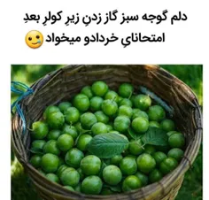 دلم خواست🤑🤑