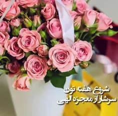 شروع هفته تون پراز معجزه🌹 