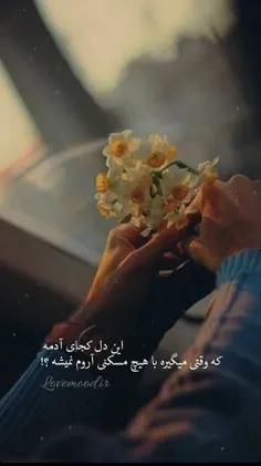 نقطه‌ی امنِ جهان 