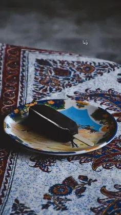 amir13611455 77096307