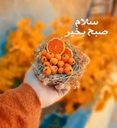 🌸🍃صبح مسافری ست با چمدانی پر از لبخند