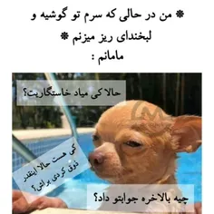 چرا واقعا 🤭🤭🤭