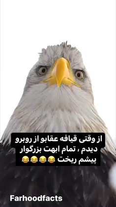 ولی خیلی گوگولی از جلووو🥹😂🦅