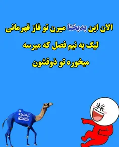 #کیسه_پاره