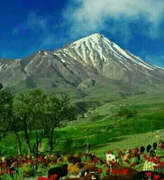 #شکوه قله زیبای دماوند در #تهران