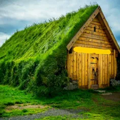 خانه ای رویایی با پشت بامی سبز
