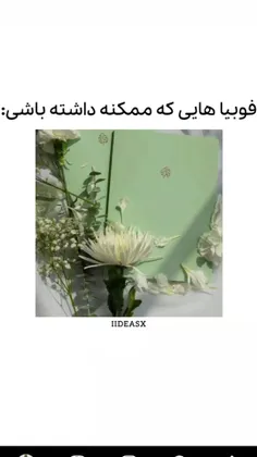 من که فوبیای پل و حشرات دارم