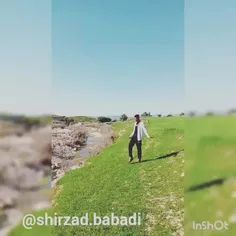 ابنجا برد داره ایلینه 😂😂