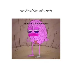 😹لایک💕