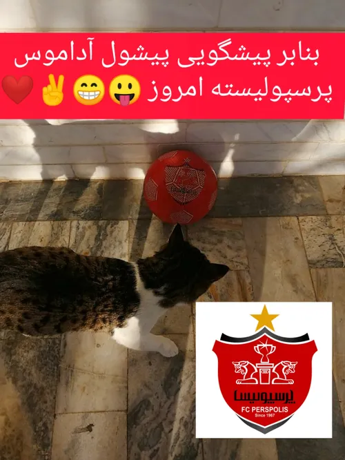 ما که دلمون میخواد ببریم ✌️😅❤️❤️❤️❤️❤️❤️