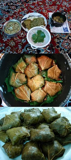 غذای ایرانی ( دلمه برگ مو )