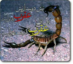 کی قبول داره کامنت بزاره