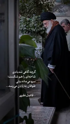 گرچه گاهی تندبادی