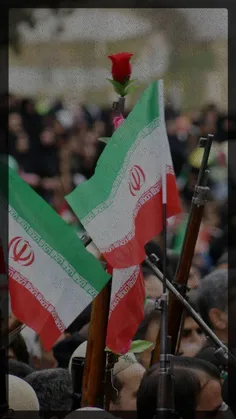مگه سلبریتی ها هم از ایران دفاع میکنند 
