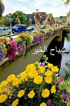 سلام صبح بخیر‌🌹🌹🌹🌹