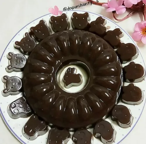 پاناکوتا شکلاتی پاناکوتا کاکائویی