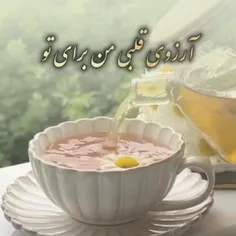 سلام به روی ماه تک تکتون🙋‍♀️اول هفته تون بخیر شادی🥰