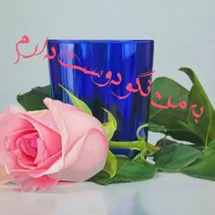 به من نگو.دوست دارم ک باورم نمیشه چون بارها باور کردم و چ