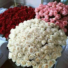 💜 این گل های زیبا تقدیم به تمام شما عزیزان💜