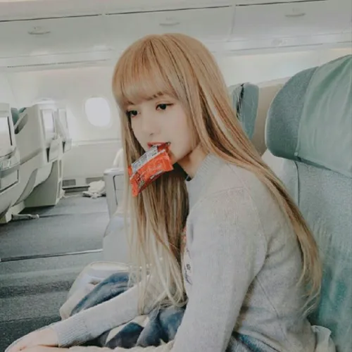 Lisa 리서