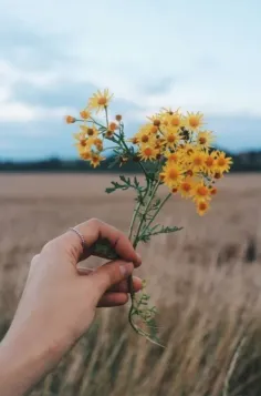 تا جان بودم در تن، رو از تو نگردانم