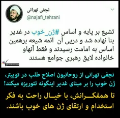 نجفی تهرانی از روحانیون اصلاح طلب در توییتر، ژن خوب را بر