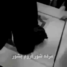 مرده شور اروم بشور⚰️🖐🏻💔