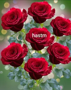 #hastm