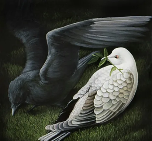 وقتی کبوتری شروع به معاشرت با کلاغها می کند پرهایش سفید م