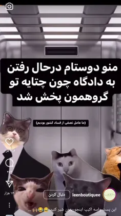 سم تو اینیستا 🤣🤣🤣