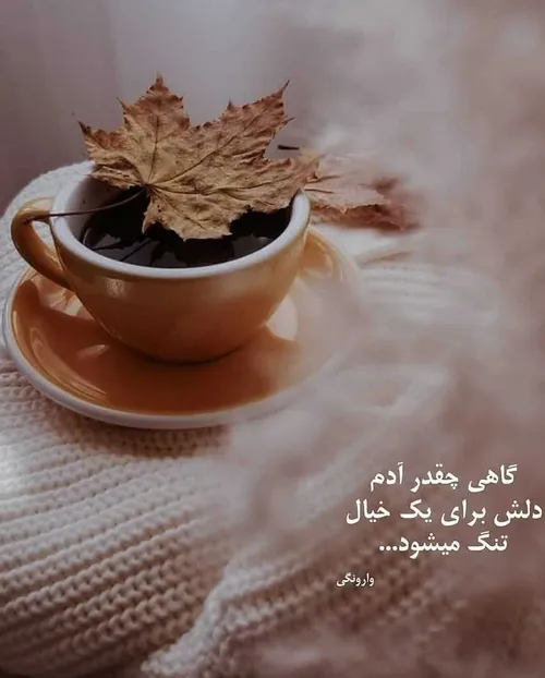 گاهی چقدر ادم دلش برای یک خیال تنگ میشود...