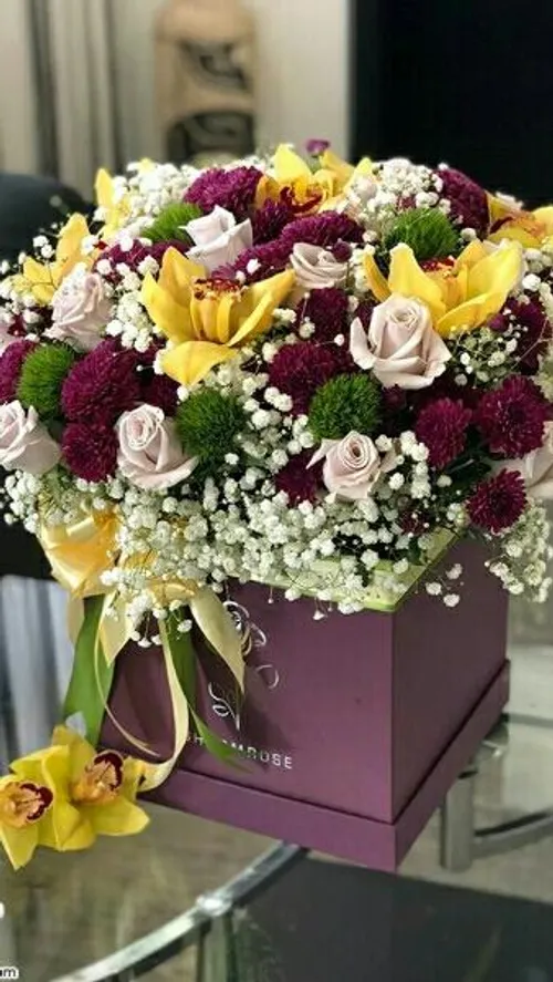 @negin1324 پست تشکر💐