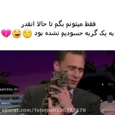 به اندازه این گربه شانس نداریم🥲