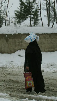 معذرت میخواهم ادیسون:چراکه مادرمن اولین چراغ زندگی من است