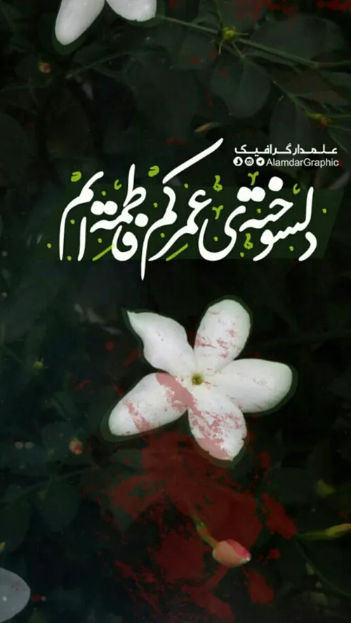 یا حضرت زهرا( س)