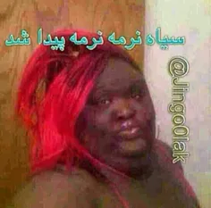 هههه
