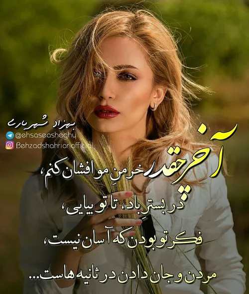 بهزادشهریاری