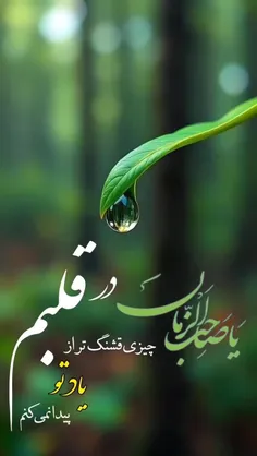 #اَلـسَّــلامُ_عَـلَیـك_یـاصـاحِـبَــــ_الــزَّمـان