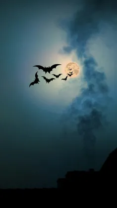 پرواز خفاشها بر فراز اسمان...